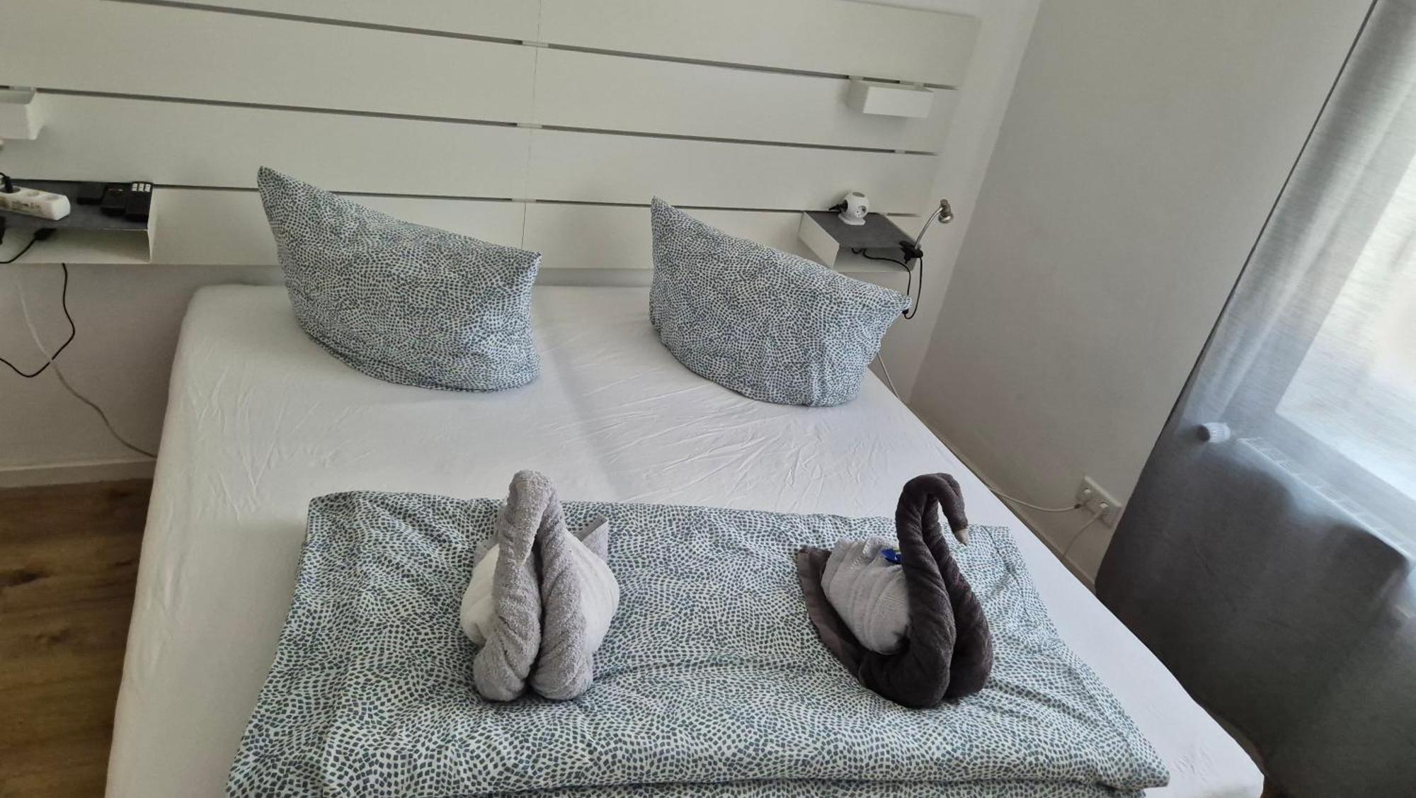 City Central Apartment House Kaiserslautern Dış mekan fotoğraf